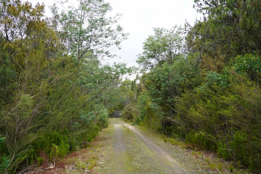 Beaconsfield Nature Conservation Reserve with road running through middle